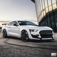 2019 Shelby Mustang Gt500 Gt500 Ford Mustang Shelby Gt500 Ford Mustang Mustang Shelby