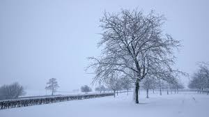 Het waterpeil van verschillende rivieren lijkt nog zeker tot zondag te stijgen, als gevolg van nieuwe buien en smeltende sneeuw. Sneeuw Op Komst Dit Weekend Wordt Het Wit In Limburg 1limburg Nieuws En Sport Uit Limburg