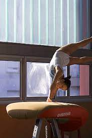 Jul 01, 2021 · eleonora rossi campionessa italiana di ginnastica artistica stampa. Volteggio Wikipedia