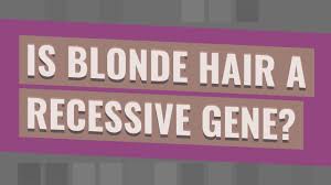 If blonde is 'b' and brown is 'b', the parents could have both been bb; Is Blonde Hair A Recessive Gene Youtube