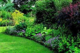Gardening Shade Garden Design Shade Garden Shade Garden Plants