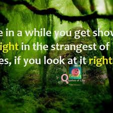 But the grateful dead, as the fanatic fans point out, are a way of life: Grateful Dead Love Quotes Quotesgram