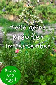 September beginnt der meteorologische herbst. Pin Auf Ogrod