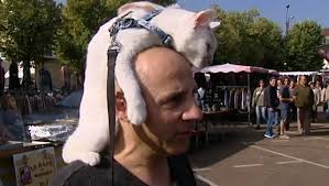 9.3 sur 10 basé sur 5567 avis. Meurthe Et Moselle Depuis Des Annees Joseph Se Balade Avec Sa Chatte Sur La Tete Linfo Re Magazine Insolite