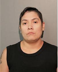 ᐅ Illinois Criminal Records 2009-2025