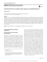 Ada perusahaan yang sedang membuka kesempatan lowongan kerja operator, pt kmi, operator packing, operator mesin, operator dan banyak lagi melalui . Pdf A Head To Tail View Of L Selectin And Its Impact On Neutrophil Behaviour