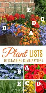 Plant Ideas For Beautiful Patio Containers Empress Of Dirt Container Garden Design Container Flowers Container Plants