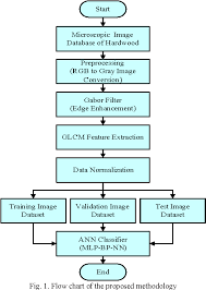 Figure 1 From Classification Of Hardwood Species Using Ann