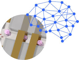 We would like to show you a description here but the site won't allow us. A Neural Network Approach For Real Time Particle Cell Characterization In Microfluidic Impedance Cytometry Springerlink