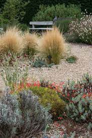All the plants listed below should fare well in hot, dry weather provided they are established correctly. How Do You Make A Dry Garden Dry Garden Gravel Garden Beautiful Gardens