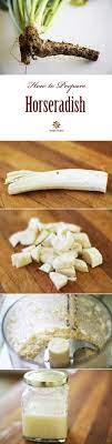 How To Make Homemade Prepared Horseradish Recipe Homemade Horseradish Prepared Horseradish Food Processor Recipes