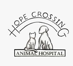 Maybe you would like to learn more about one of these? Vet Drawing Veterinary Clinic Drawing Of Animal Hospital Free Transparent Clipart Clipartkey