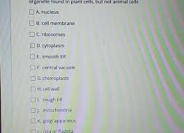 Plant and animal cells can contain similar types of organelles. Organelle Where Melanin And Keratin For The Skin Are Chegg Com