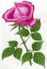 Maybe you would like to learn more about one of these? How To Draw A Rose In Few Simple Steps