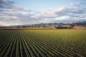 Sba 7(a) loans can range up to 25 years in length and can be fixed rate or variable rate. Farm Service Agency Loans Archives Farmraise