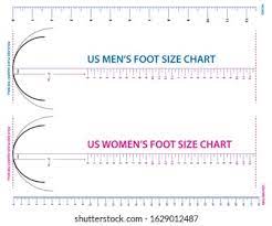 Printable Shoe Size Chart Women's Shoe Size Images Stock Photos Vectors Shutterstock