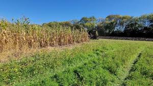Apple orchards near rochester mn. Northwoods Apple Orchard Home Facebook