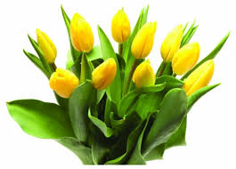 How much are flowers at kroger. Fresh Cut Tulips 10 Stems Kroger