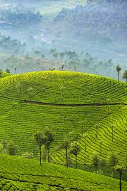 Epingle Sur Natural Beauty Of West Bengal