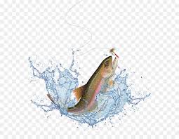 Check spelling or type a new query. Rainbow Cartoon Png Download 617 698 Free Transparent Fish Png Download Cleanpng Kisspng