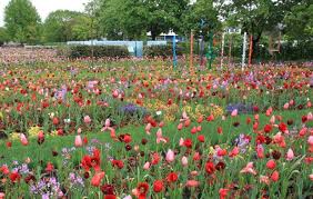 Landesgartenschau Giessen 2014 Buro Christian Meyer Garten Landesgartenschau Stauden