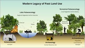 Compare reveiws, get multiple quotes, and hire the best pro for your project. The Origins Of Amazonian Landscapes Plant Cultivation Domestication And The Spread Of Food Production In Tropical South America Sciencedirect
