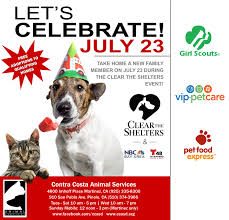 We are not operated or funded by any national animal group and must rely. Walnut Creek Residents Adopt A Pet For Free Walnut Creek Ca Patch