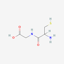 Image result for Glycine
