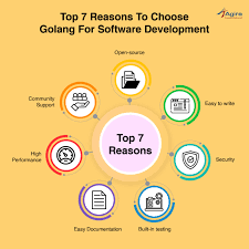 Top 7 Reasons To Choose Golang For Software Development Software Development Technical Writing Infographic