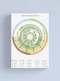 Seasonal Vegetable Calendar Canvas Print By Luca Nagy In 2020 Canvas Prints Vegetable Seasoning Seasons