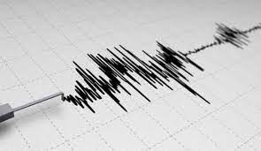 Las autoridades locales del instituto nacional de. Sismo De Mediana Intensidad Se Percibio En La Zona Sur Del Pais