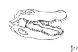 We did not find results for: Gator Skull Sketch By Caskettdollyfan On Deviantart