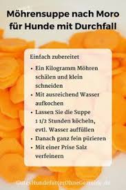 Durfen Hunde Mohren Essen Roh Als Karottensuppe Oder Pellets Hunde Ernahrung Hunde Futter Kochen Fur Hunde