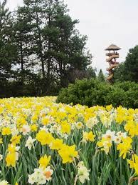 Celebrate the season of rebirth, decorate for a springtime garden party, or even brighten up winter gloom with the gift of spring flowers. Pin On A Passion For Flowers