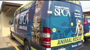 Maybe you would like to learn more about one of these? Pennsylvania Ranks Near The Top Of The Humane Society S Annual Horrible Hundred List Of Suspected Puppy Mill Kennels Fox43 Com
