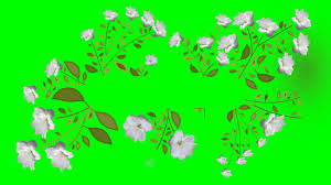 خلفية خضراء اروع الصور لخلفيات خضراء كيوت