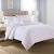 Lavender Comforter Set