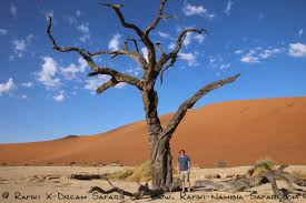 Discover namibia on an unforgettable safari that is best suited for you. Namibia Classic Camping And Lodge Safari 14 Days Rafiki X Dream Safaris In Namibia