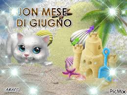 Medico, gatto, strumento, assegno, dolore. Buon Mese Di Giugno Picmix