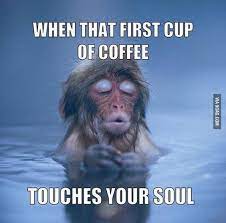 Cheap coffee machines, buy quality home appliances directly from china suppliers:coffee machine nivona caferomatica nicr 779 capuchinator coffee maker automatic kitchen appliances goods household for kitchen enjoy free shipping worldwide! 40 Coffee Memes Ideas Coffee Coffee Humor Coffee Quotes