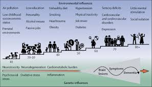 The results showed that a healthy lifestyle was associated with a lower risk of dementia regardless of a person's genetic risk. Ageing Without Dementia Can Stimulating Psychosocial And Lifestyle Experiences Make A Difference The Lancet Neurology