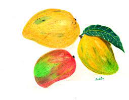 Mangoes In Faber Castell Polychromos Color Pencils Art Mango Mangoes Polychromos Colorpencil Pencilcolors Art Instagram Photo Photo And Video Drawings