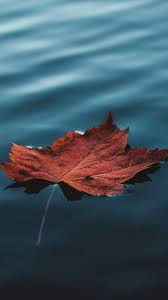 Beautiful And Natural Wallpapers For Apple Iphone X Slydor Your Daily Dose Of Fun Iphone Backgrounds Nature Beautiful Wallpapers Nature Wallpaper