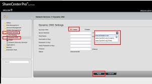 What Is Dynamic Dns And How Do I Configure It On My D Link Sharecenter Pro D Link Blog Home