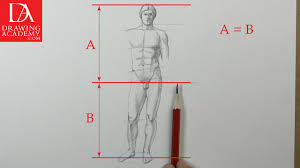 Collection by ogechi joyce ukaegbu. Proportion Of The Human Body Video Lesson By Drawing Academy Drawing Academy