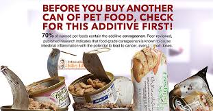 In the article above you could see which ingredients make food bad and good. 17 Harmful Ingredients In Dog Food To Avoid Paw Castle