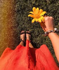 We did not find results for: 250 Flower Dpz Ideas Girly Pictures Hand Photography Flowers