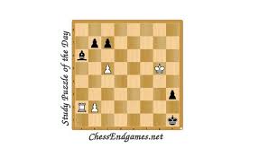 The game of chess is supposed to contain no hidden information and unlike the other games of dice, there is no scope of winning luck by chance. Study Puzzle Of The Day 14 09 2020 Chess Endgames Network Puzzle Of The Day Study Puzzle