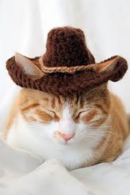 Browse 44 cat cowboy hat stock photos and images available, or start a new search to explore more stock photos and images. Ravelry Cowboy Hat For Cats Pattern By Rebecca Davis