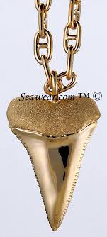 Like an othodontic bracket it is attached with composite to the surface of the tooth. Shark Teeth Pendant